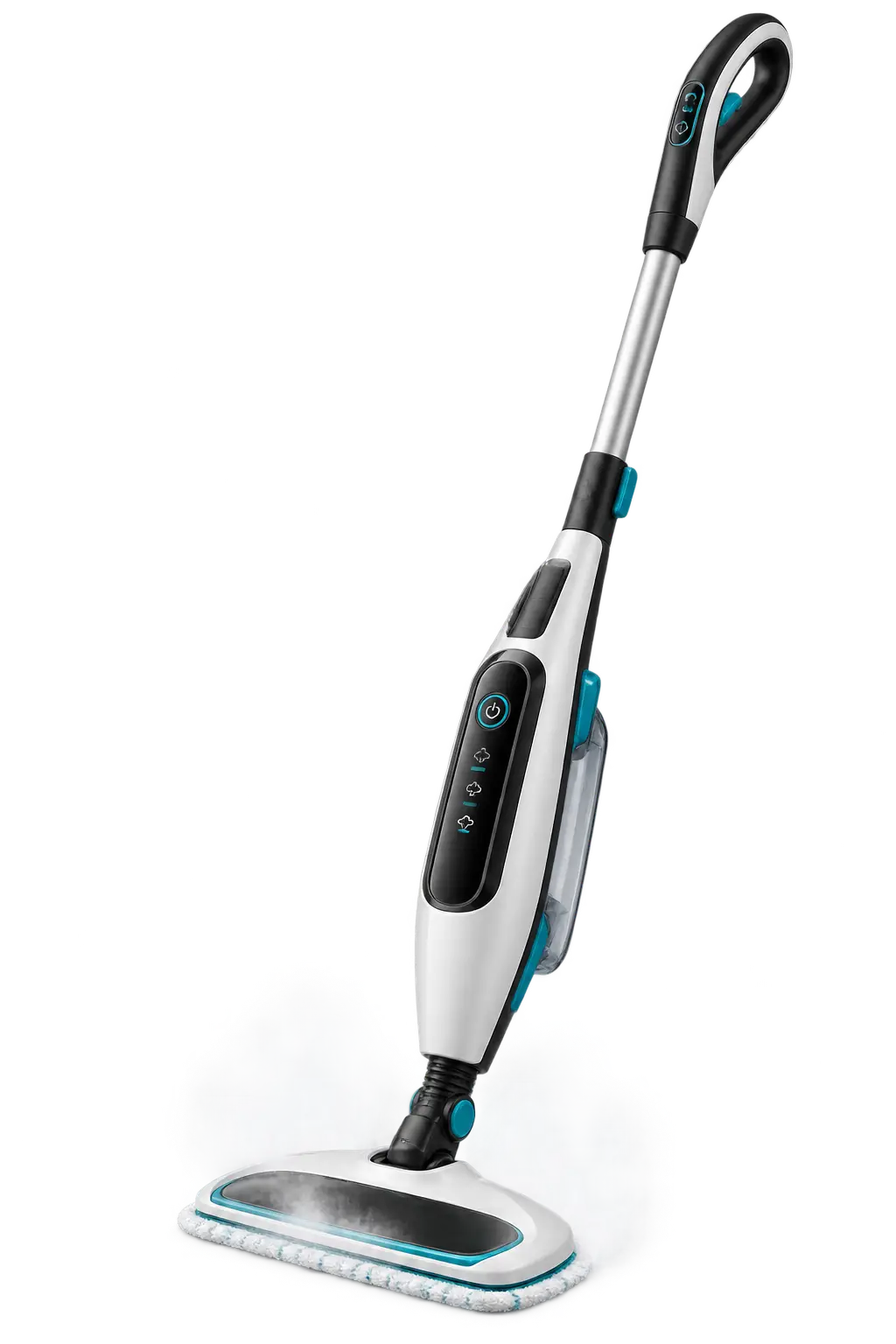 Professional steam cleaning service